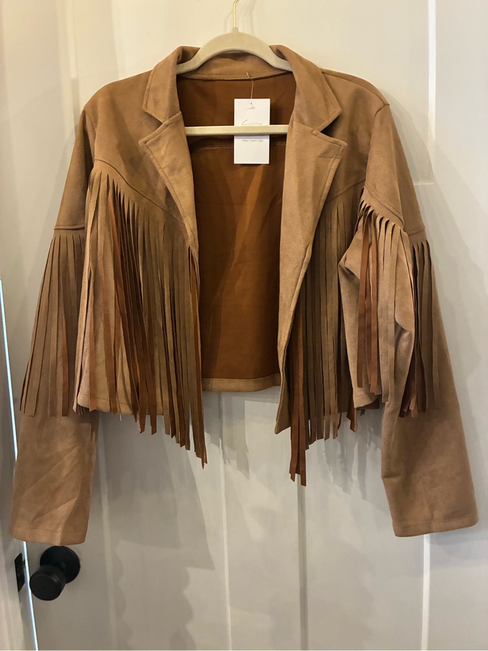 Fringe Suede Crop Jacket in Tan